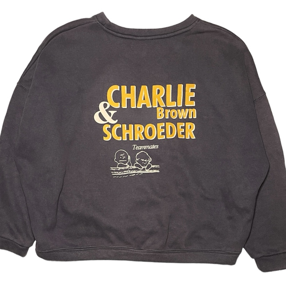 SNOOPY Charlie Brown Sweatshirt Womens 2XL Cropped Gray Faux Fur Lined XXL - Picture 2 of 6
